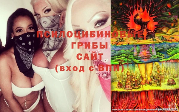 стаф Инта