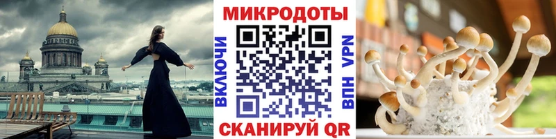 Галлюциногенные грибы Magic Shrooms  даркнет формула  Арск 